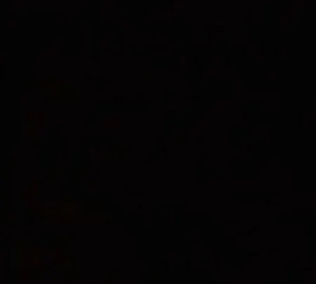 旅馆 Bahane 伊斯坦布尔